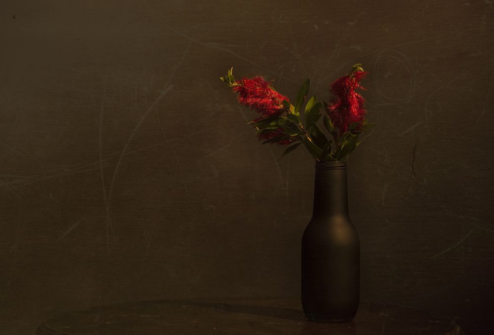 Фотография автора AYLIN EROZCAN