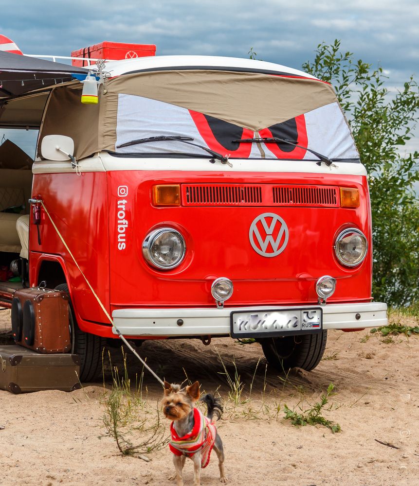 Надежная охрана