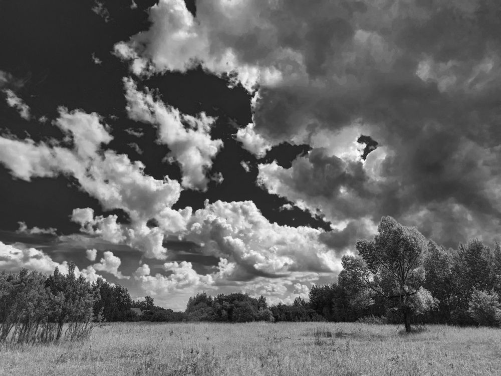 Photograph by Елена Жеребцова