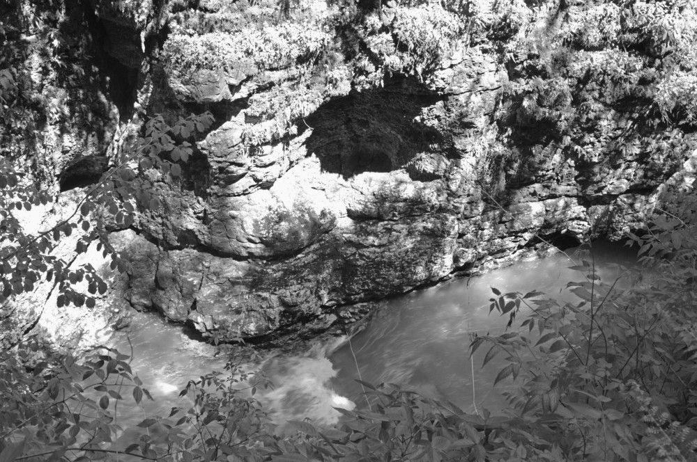 Photograph by Ольга Шевцова