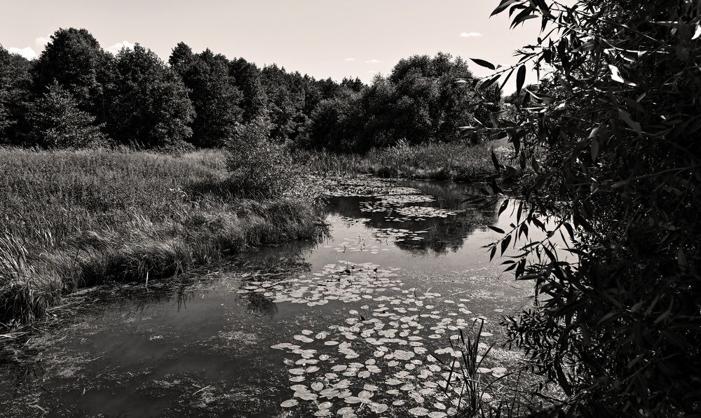 Photograph by Юлия Лис-а