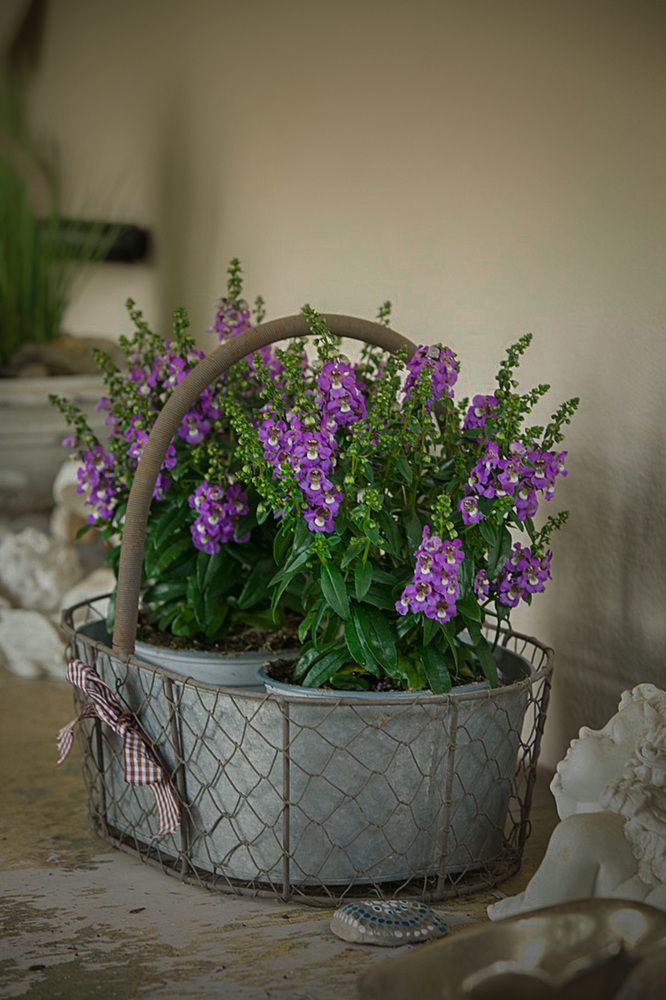 Photograph by Ирина Подгорная