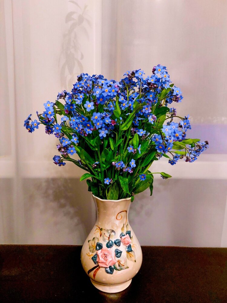 Photograph by Елена Жеребцова