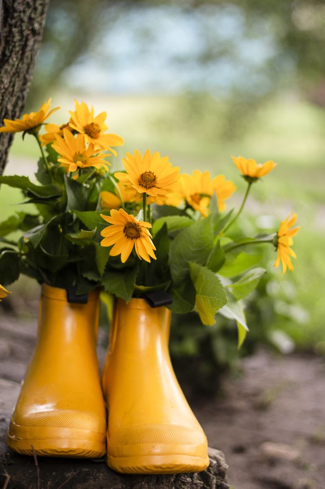 Photograph by даша ващенко