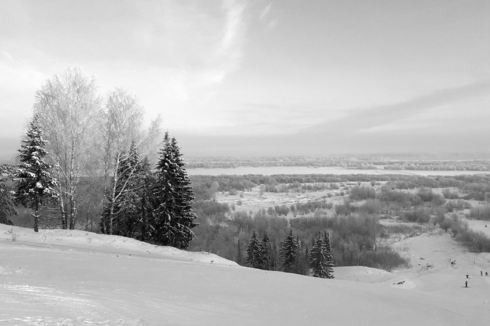 Photo #7824138