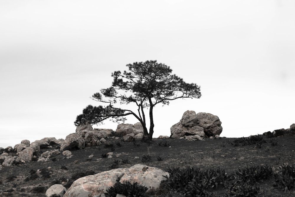 Photograph by SOUFIANE EL KADAOUI