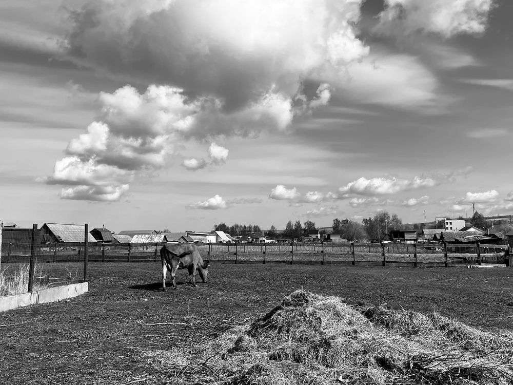 Photograph by Ксения Щербакова