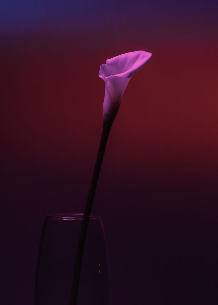 Фотография автора Станислав Иванов