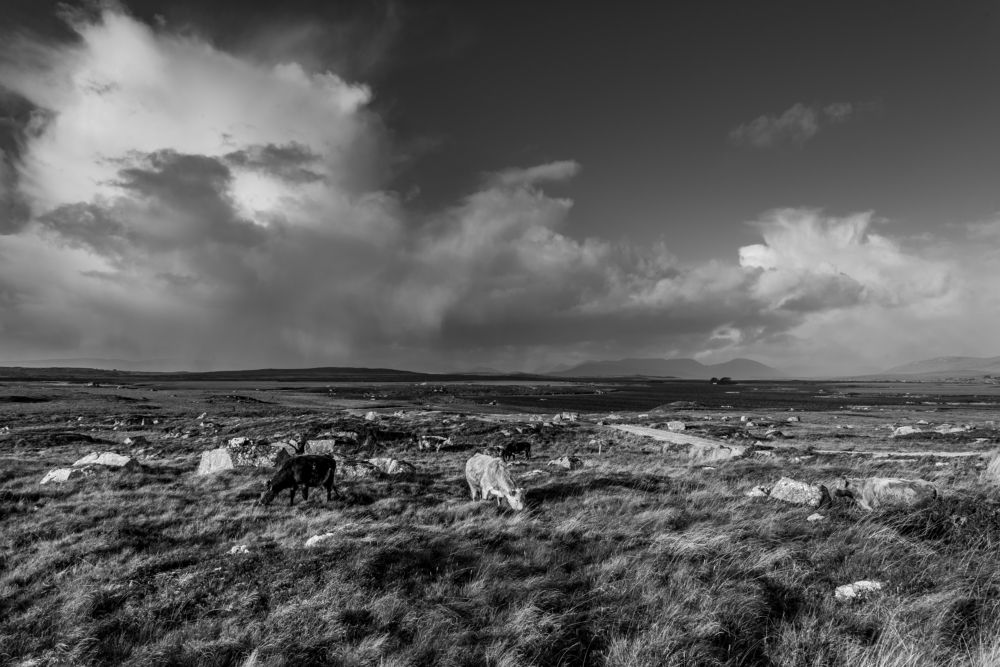 Barren land with stormy clouds