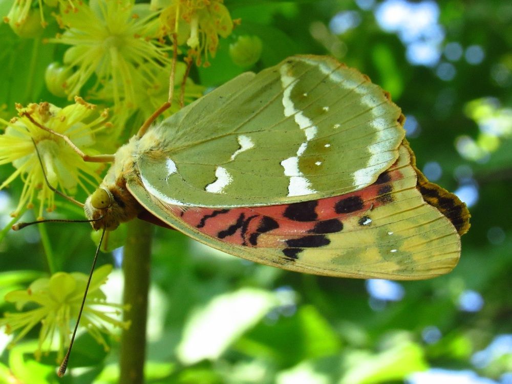 Photograph by Денис Веску