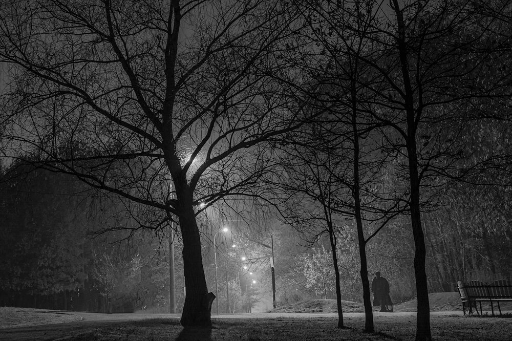 Фотография автора Олег Голубев