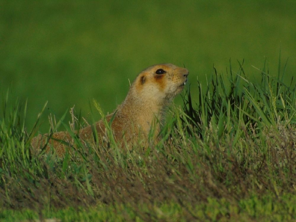 Photograph by Денис Веску