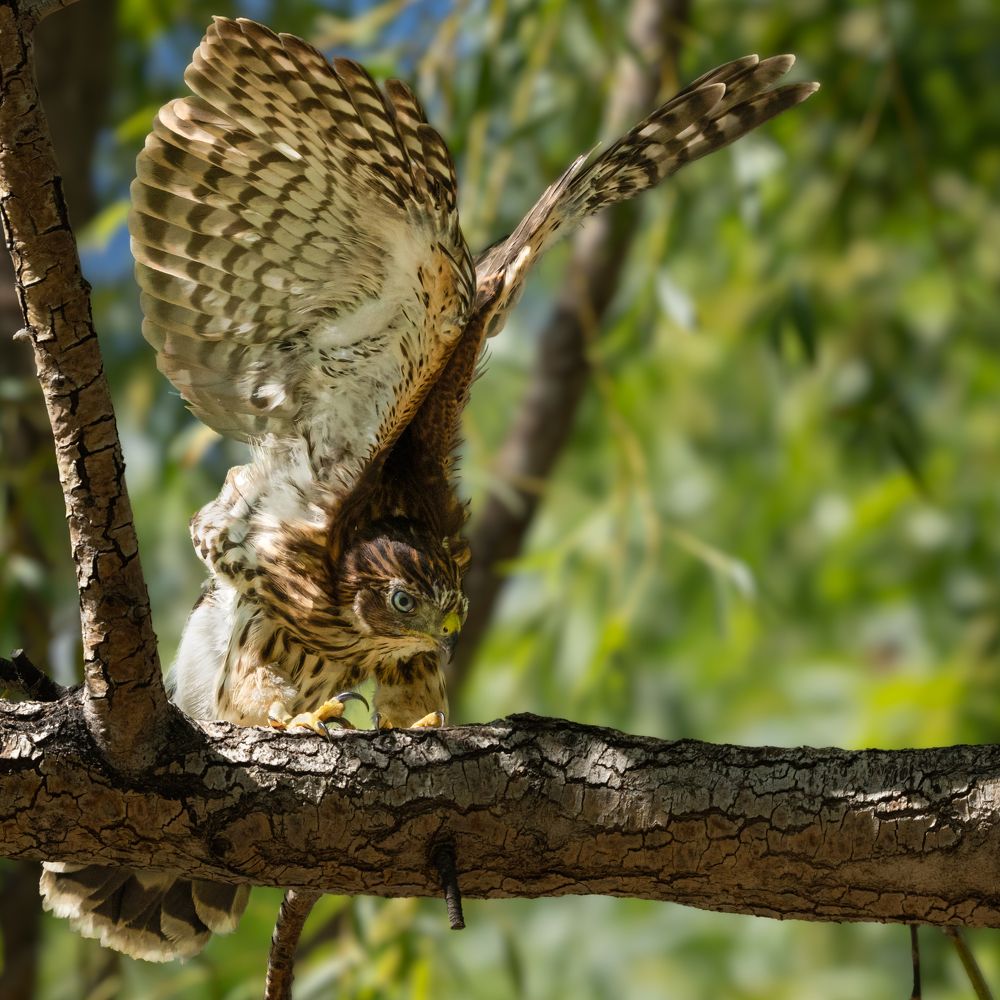 Фотография автора Heather Spencer