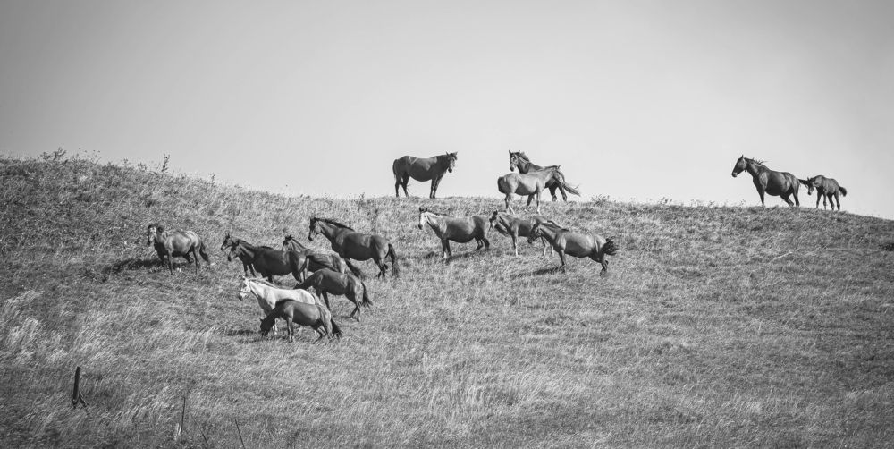 Фотография автора Оксана Белозерская