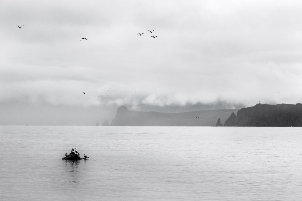 Фотография автора Рохмистрова Мария