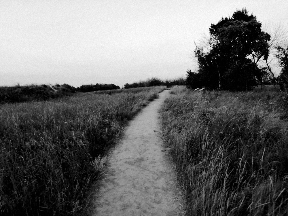 Photograph by Татьяна Третьякова