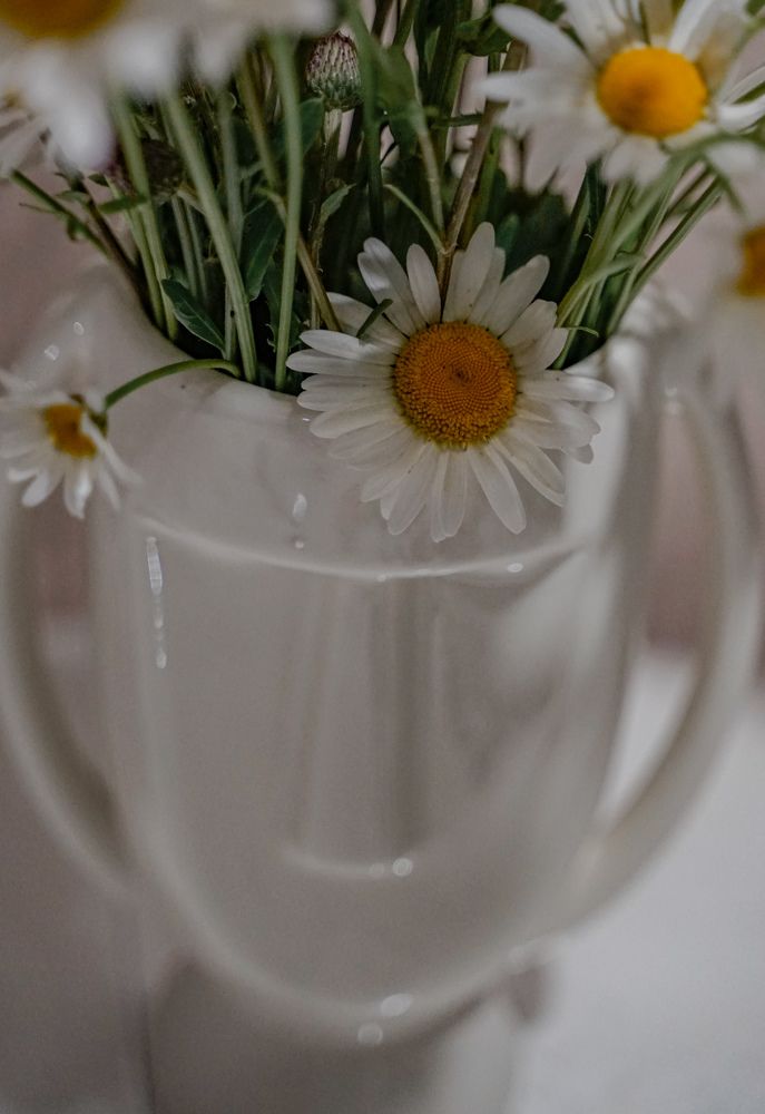 Photograph by Ксения Илюшина