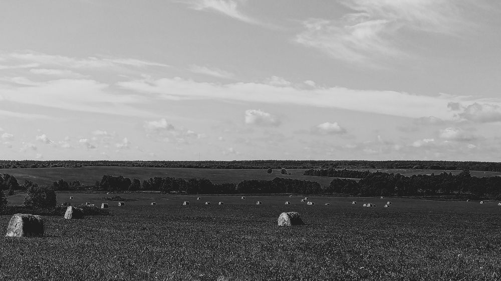 Photograph by Виталий Грачёв