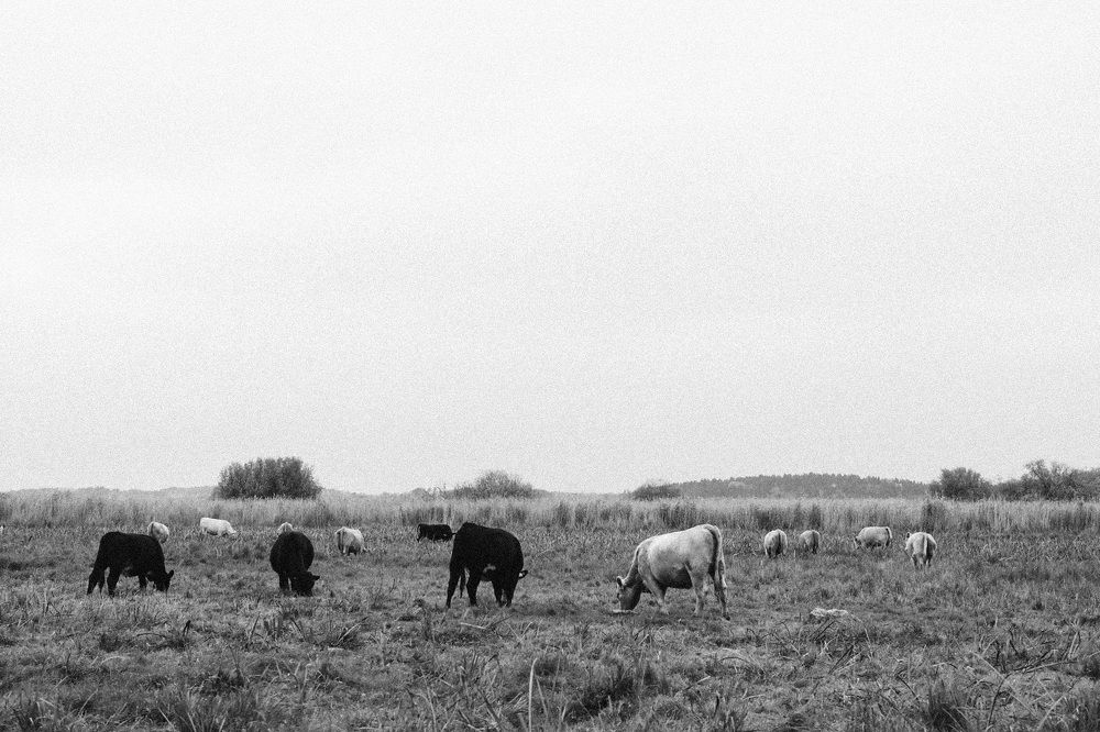 Photograph by Alena Shalai