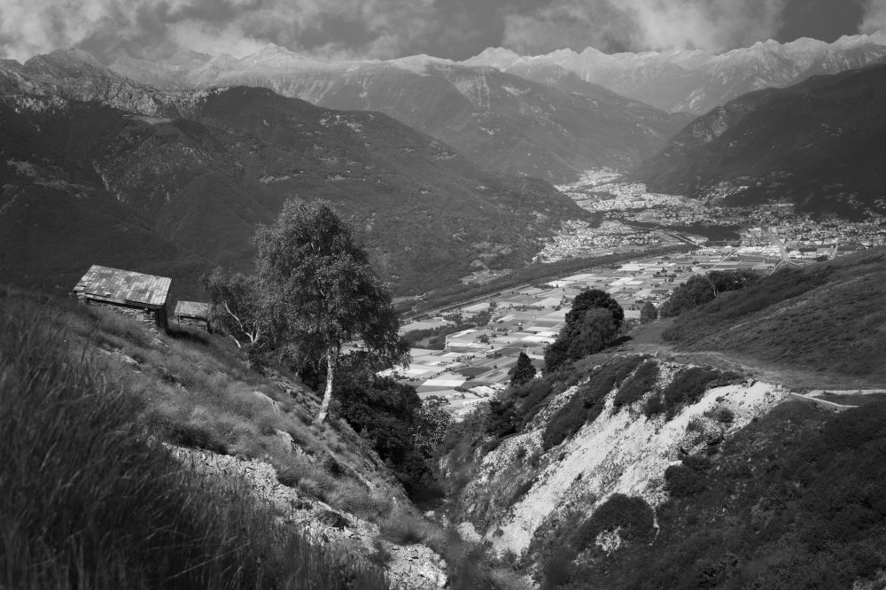 Photograph by Mariia Muratova