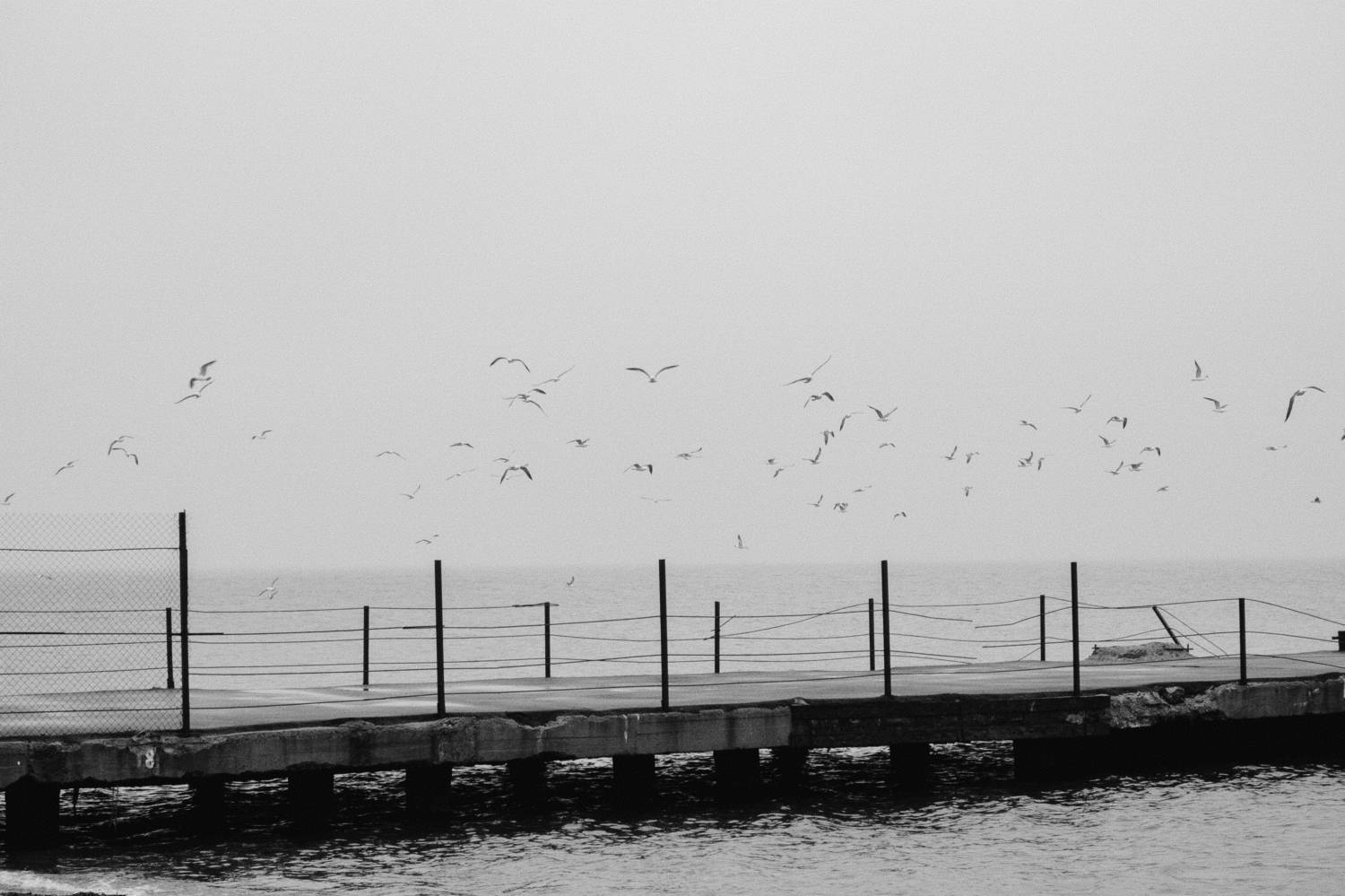 Photo #7824813