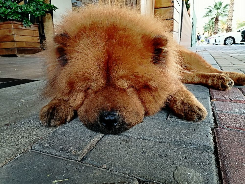 Photograph by Людмила Савчук