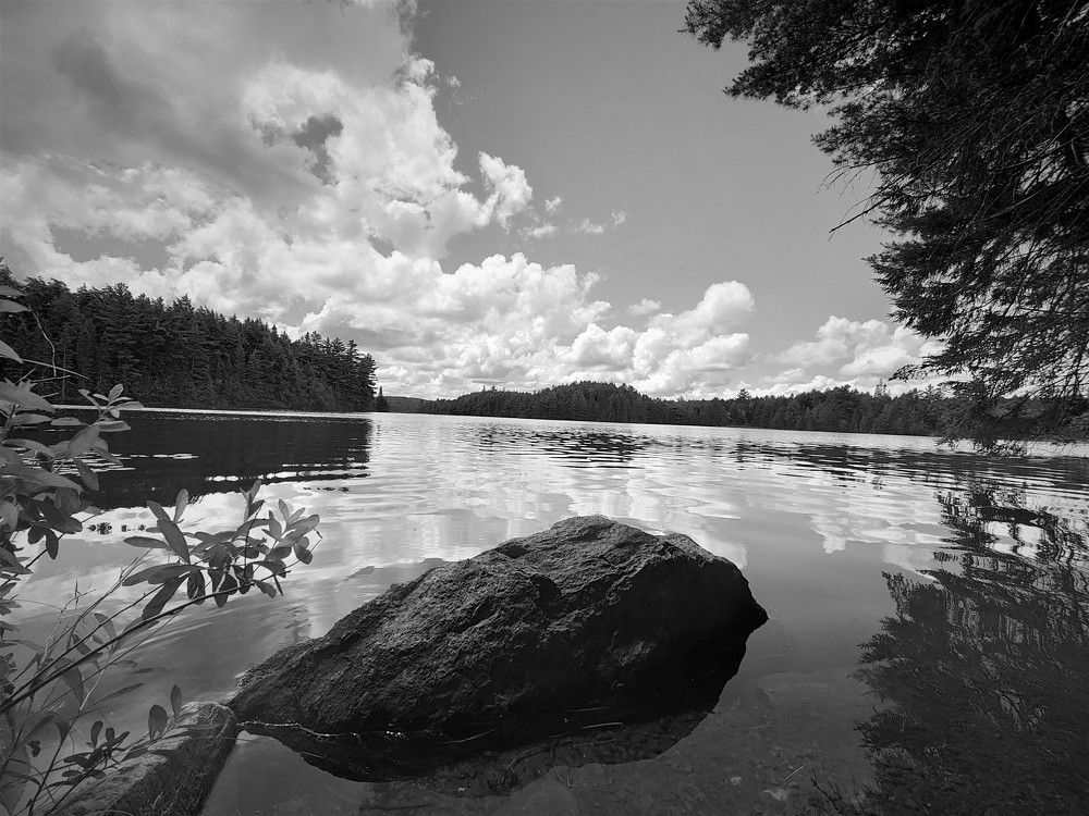 Photograph by AHMAD AL-HADDAD