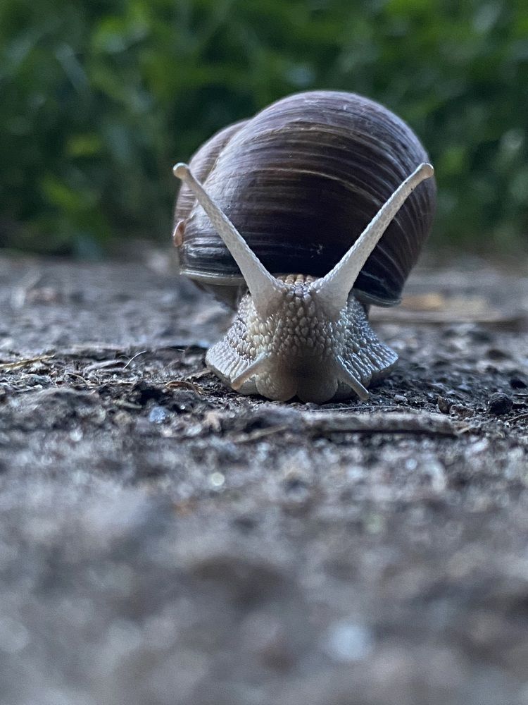 Photograph by Евгения Казакова