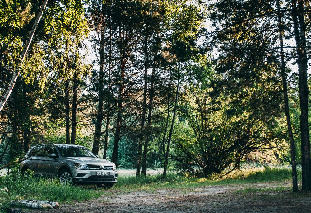 Photograph by Ольга Глущенко