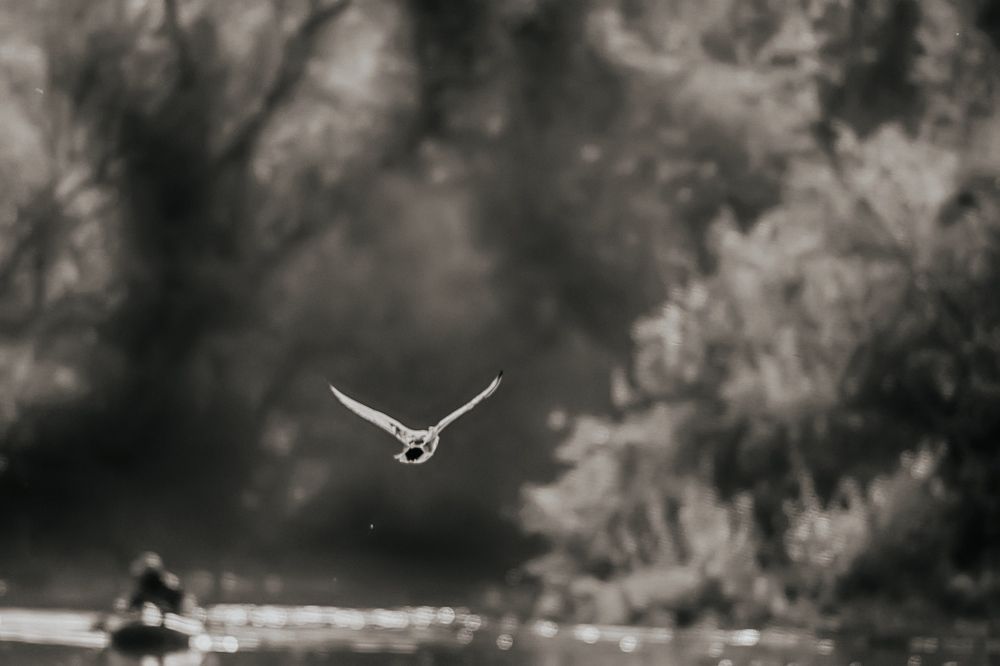 Photograph by Александр Вольхин