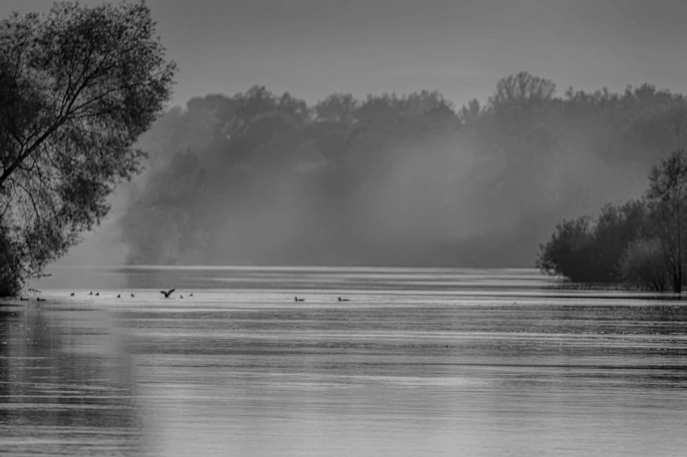 Photograph by Александр Вольхин