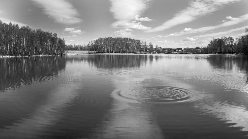 Photograph by Людмила Железнова