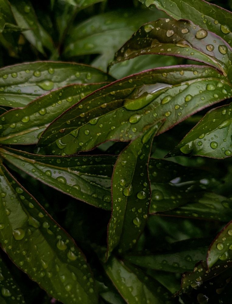 Photograph by Валерия Марцинковская