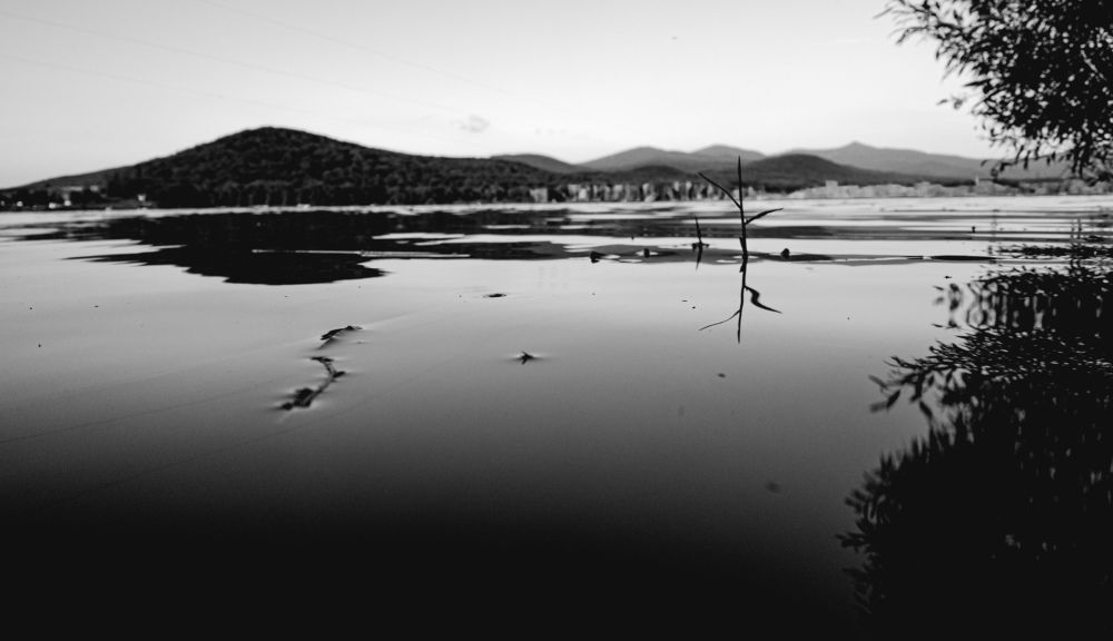 Photo #7825044