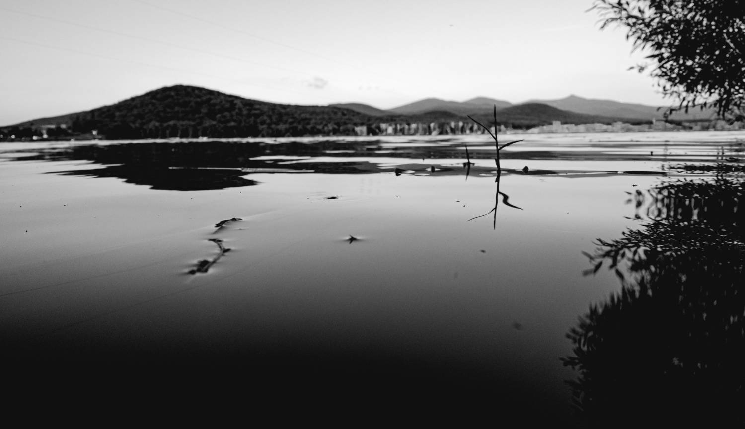 Photo #7825044