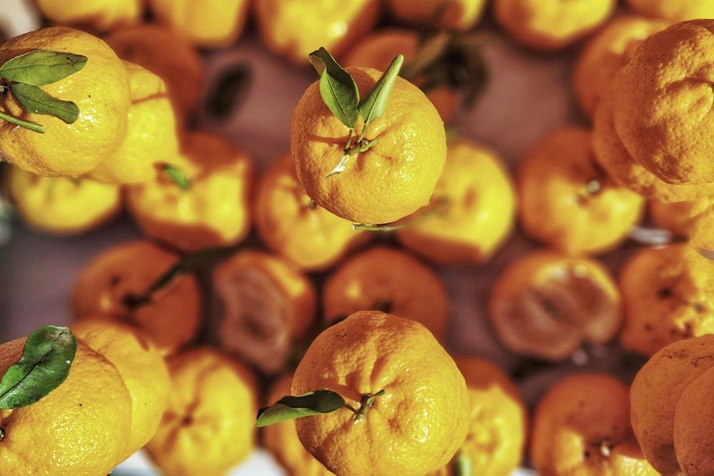 Photograph by André Lobo