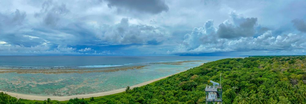 A long shore in the wake of "TSUNAMI"