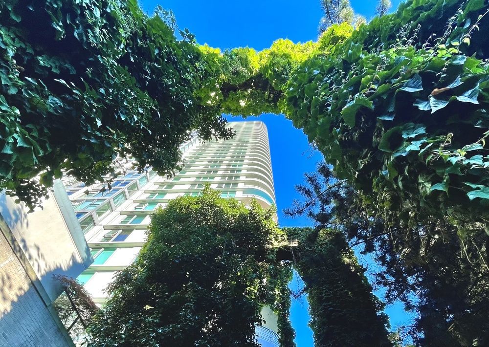 Photograph by Irina Studenyak