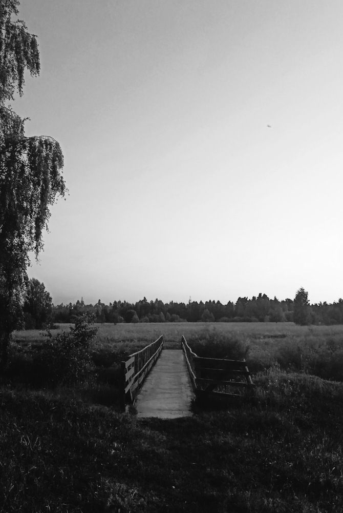 Photo #7825141