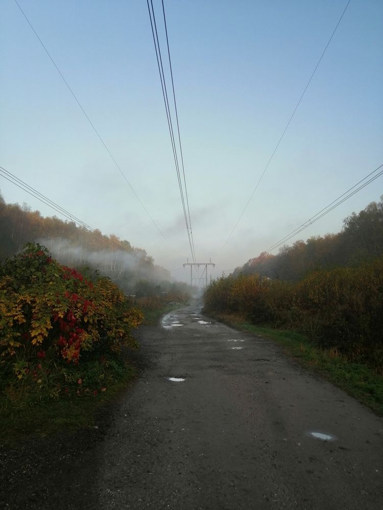 Фотография автора Ксения Шумилова