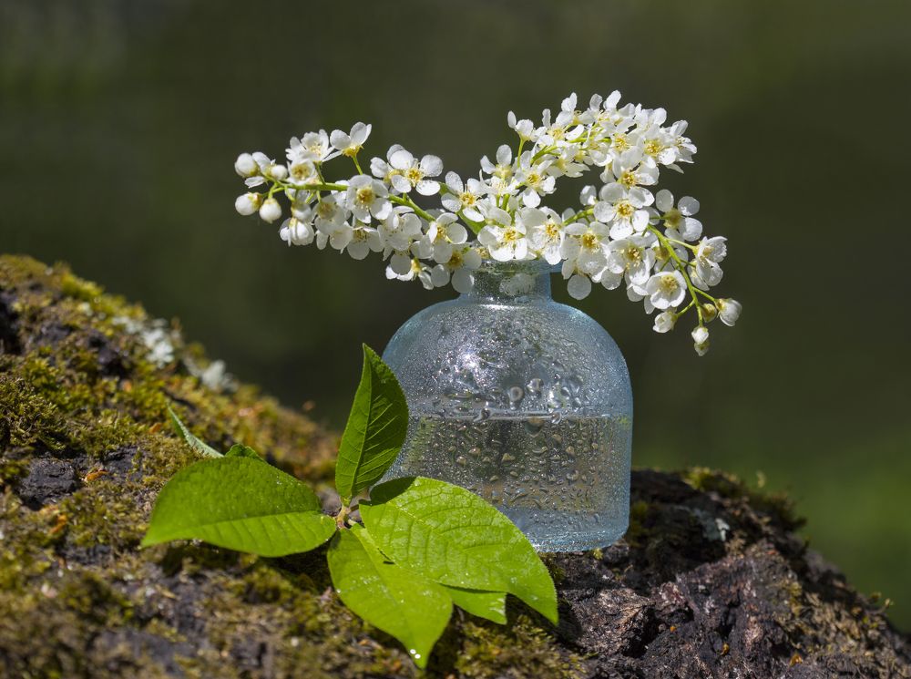 Фотография автора Andrey Pristyazhnyuk