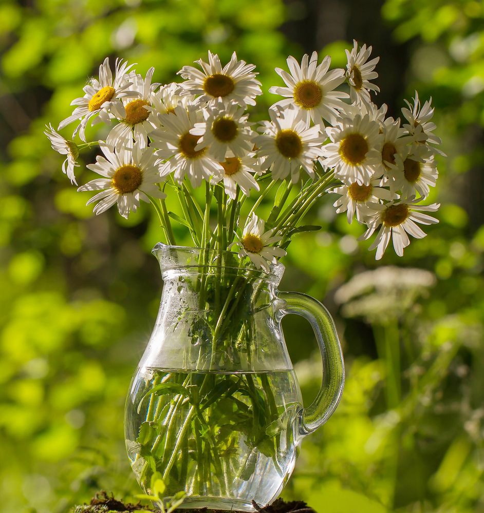 Фотография автора Andrey Pristyazhnyuk