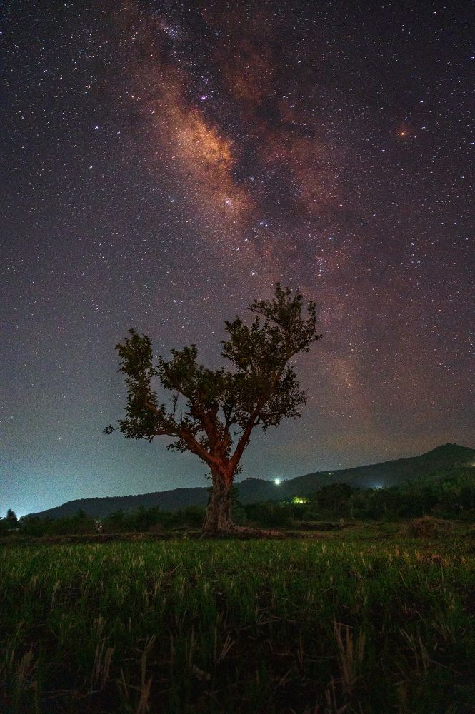 Photograph by Arjun Patil