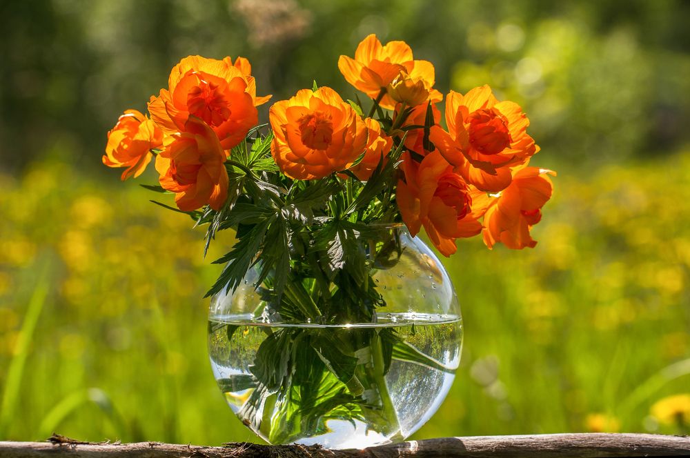 Фотография автора Andrey Pristyazhnyuk