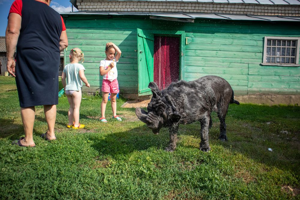 Photograph by Андрей Трубачев