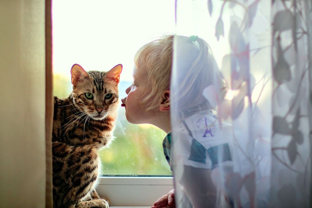 Photograph by Андрей Трубачев