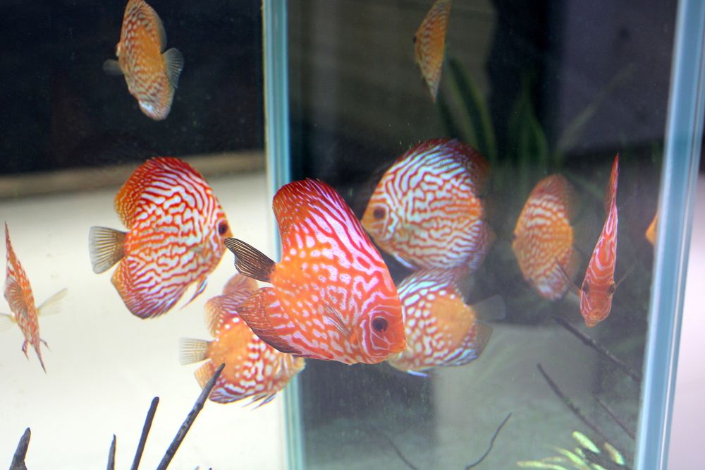 Photograph by Николай Немчанинов