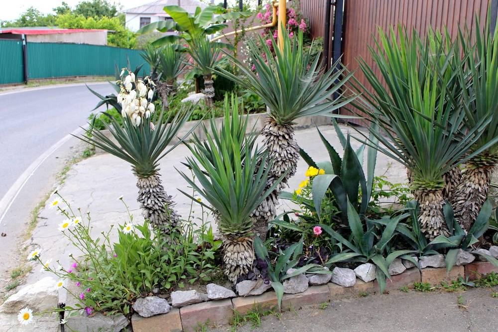 Photograph by Николай Немчанинов