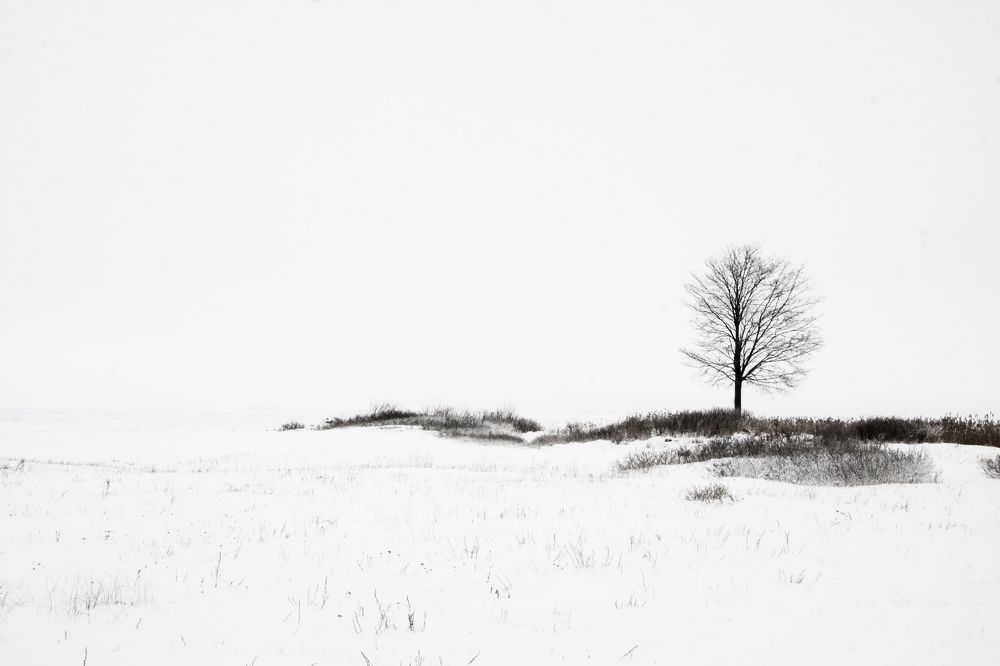 Photograph by Мария Пичугина