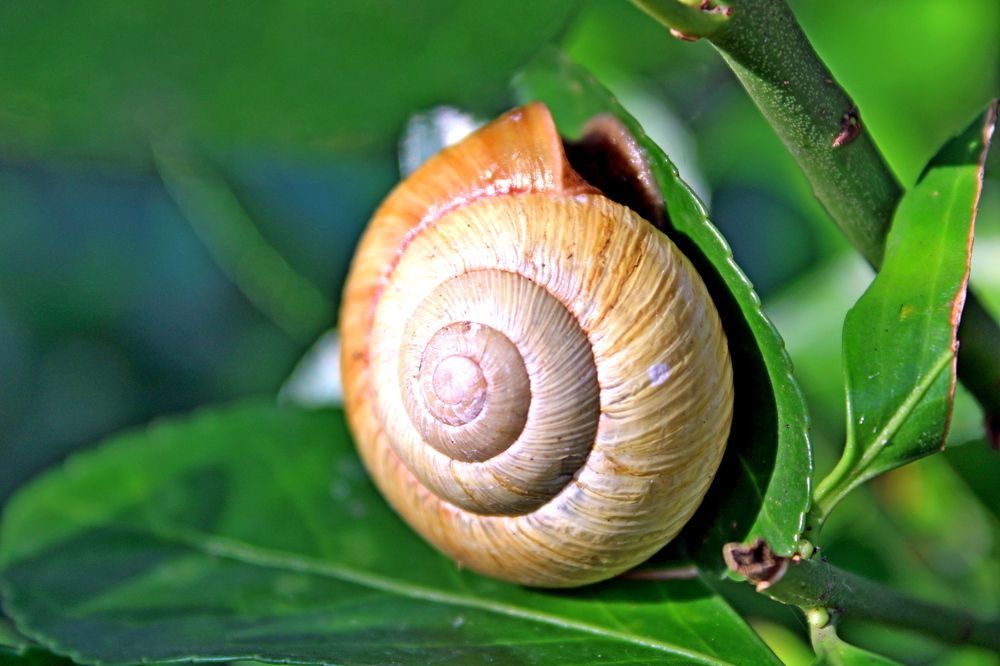 Photograph by Николай Немчанинов